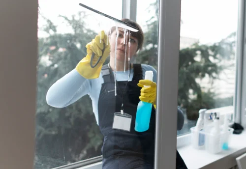 Nettoyage de vitres intérieures et extérieures à Précey